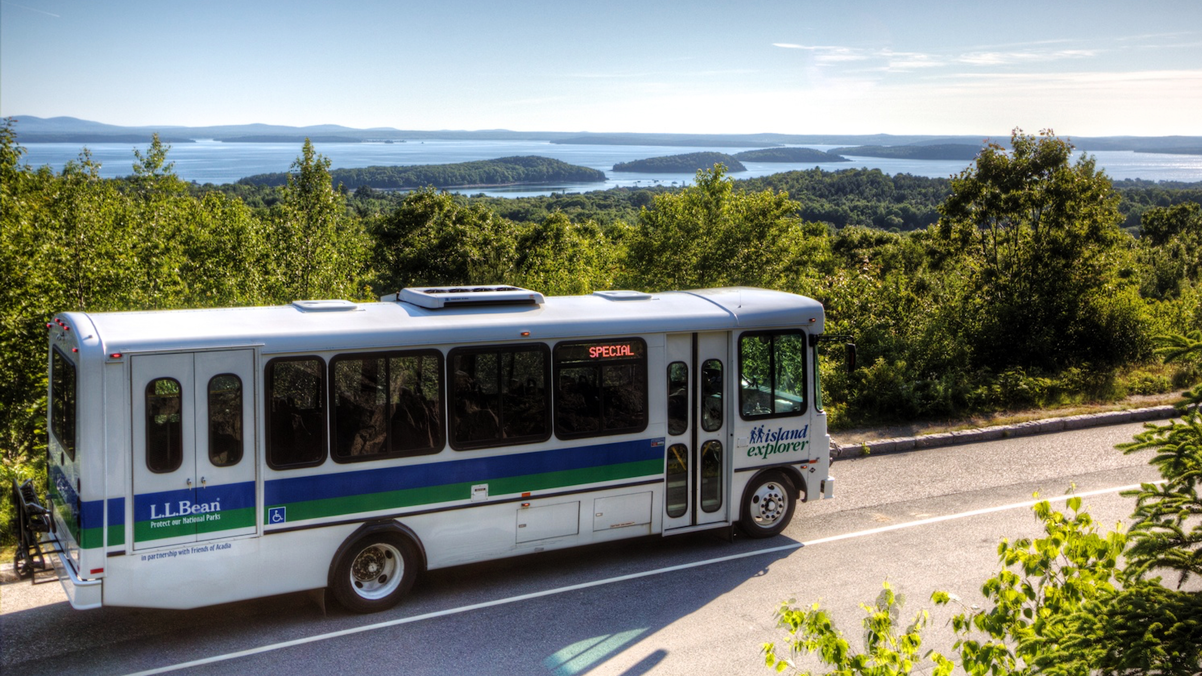 Bus